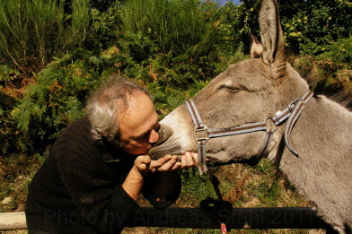 Hier liebt man die Natur...